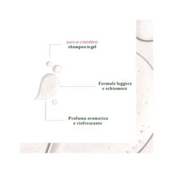 Rene Furterer Neopur Shampoo Antiforfora Grassa Equilibrante 150ml 11 Rene Furterer Neopur Shampoo Antiforfora Grassa Equilibrante 150ml -KloraneShop allergan celluvisc 10mg ml collirio in soluzione carmellosa sodica 30 flaconcini 4 1651066583