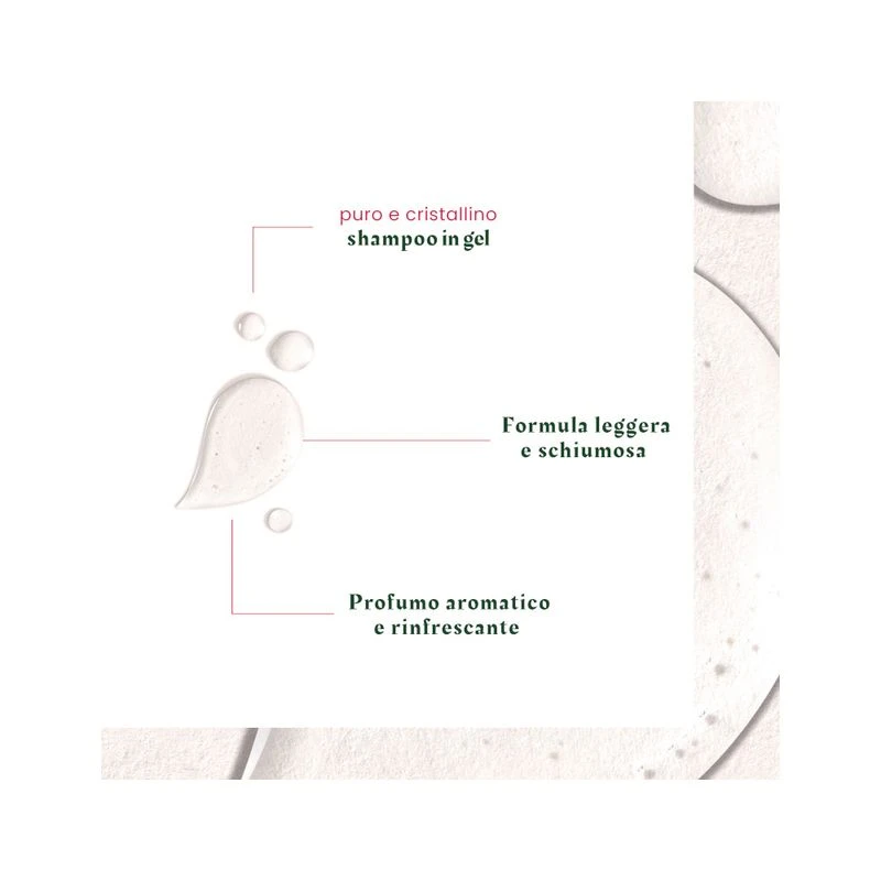 Rene Furterer Neopur Shampoo Antiforfora Grassa Equilibrante 150ml 6 Rene Furterer Neopur Shampoo Antiforfora Grassa Equilibrante 150ml - immagine 4