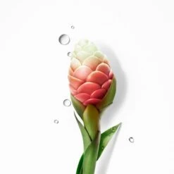 Rene Furterer Neopur Shampoo Antiforfora Grassa Equilibrante 150ml 13 Rene Furterer Neopur Shampoo Antiforfora Grassa Equilibrante 150ml -KloraneShop allergan celluvisc 10mg ml collirio in soluzione carmellosa sodica 30 flaconcini 6 1651066583