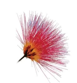 Ducray Densiage Shampoo Ridensificante Volume E Consistenza Ai Capelli 200ml 8 Ducray Densiage Shampoo Ridensificante Volume E Consistenza Ai Capelli 200ml -KloraneShop ducray densiage shampoo ridensificante 200ml 3 1623922294