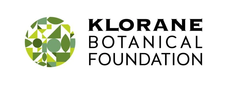 Klorane Balsamo Alla Chinina E Stella Alpina BIO Contro La Caduta Dei Capelli 200ml 6 Klorane Balsamo Alla Chinina E Stella Alpina BIO Contro La Caduta Dei Capelli 200ml - immagine 4