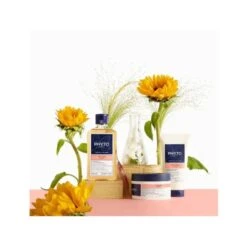 Phyto Couleur Maschera Prolunga Colore 250ml -KloraneShop phyto couleur maschera 200ml 985980402 1 3 1688031429