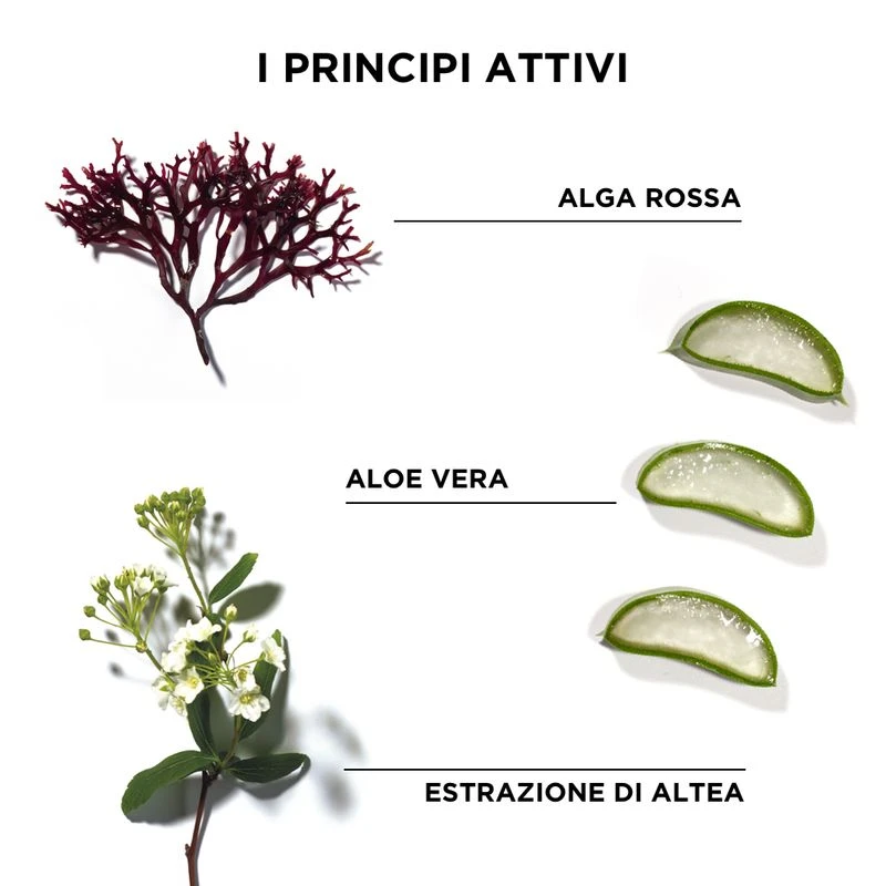 Phyto Phytodefrisant Trattamento Ritocco Anti-Crespo Per Capelli Crespi 50 Ml 5 Phyto Phytodefrisant Trattamento Ritocco Anti-Crespo Per Capelli Crespi 50 Ml - immagine 3