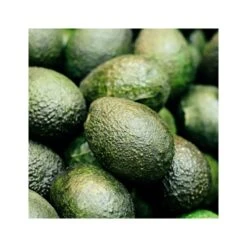 Rausch Balsamo Colorprotettivo All'avocado 200ml -KloraneShop rausch balsamo colorprotettivo all avocado 200ml 3 1663685793
