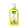 Rausch Lozione Antiforfora Alla Tussilaggine 200ml -KloraneShop rausch lozione antiforfora alla tussilaggine 200ml 1 1663853839