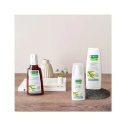 Rausch Shampoo Speciale Alla Corteccia Di Salice 200ml -KloraneShop rausch shampoo speciale alla corteccia di salice 200ml 3 1663856222